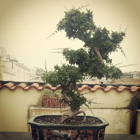 Attico Partenopeo לינה וארוחת בוקר 4*